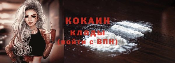 твердый Лиски