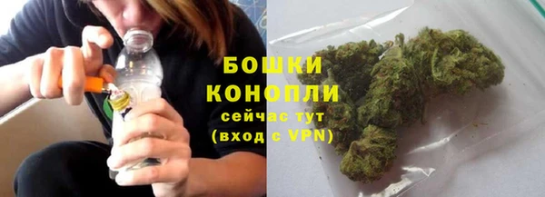 твердый Лиски