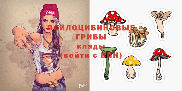 твердый Лиски